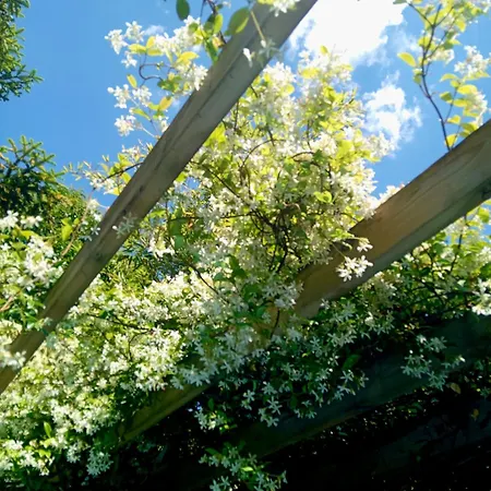 Готель типу 