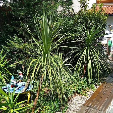 Bed & Breakfast La Bordeaux St Augustin 3*