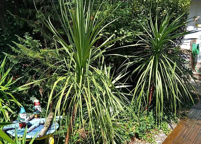 Bed & Breakfast La Bordeaux St Augustin 3*